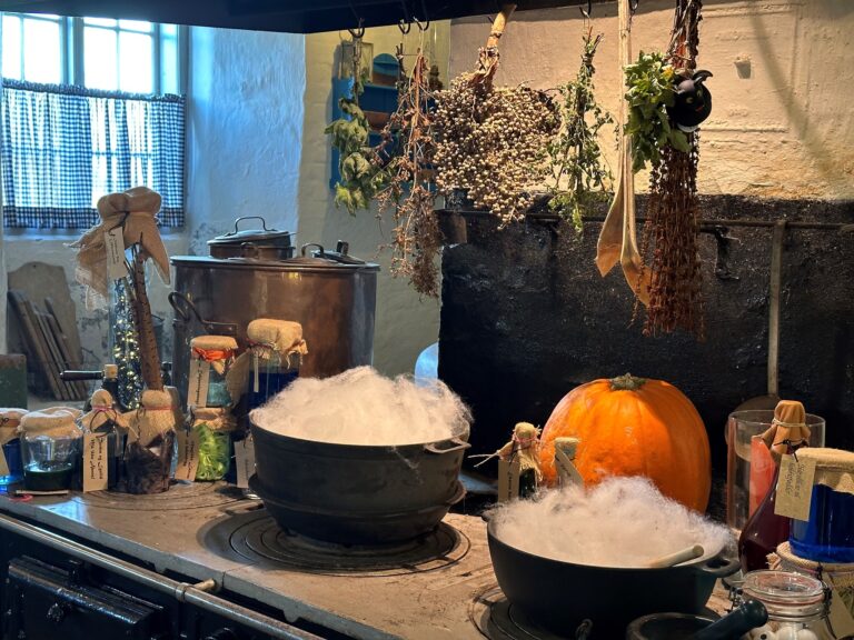 Halloween og Høstfest på Børglum Kloster
